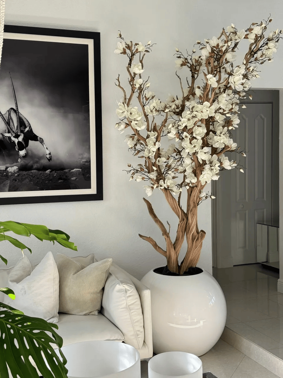 White Magnolia Tree in 30′′ Glossy White Globe Planter