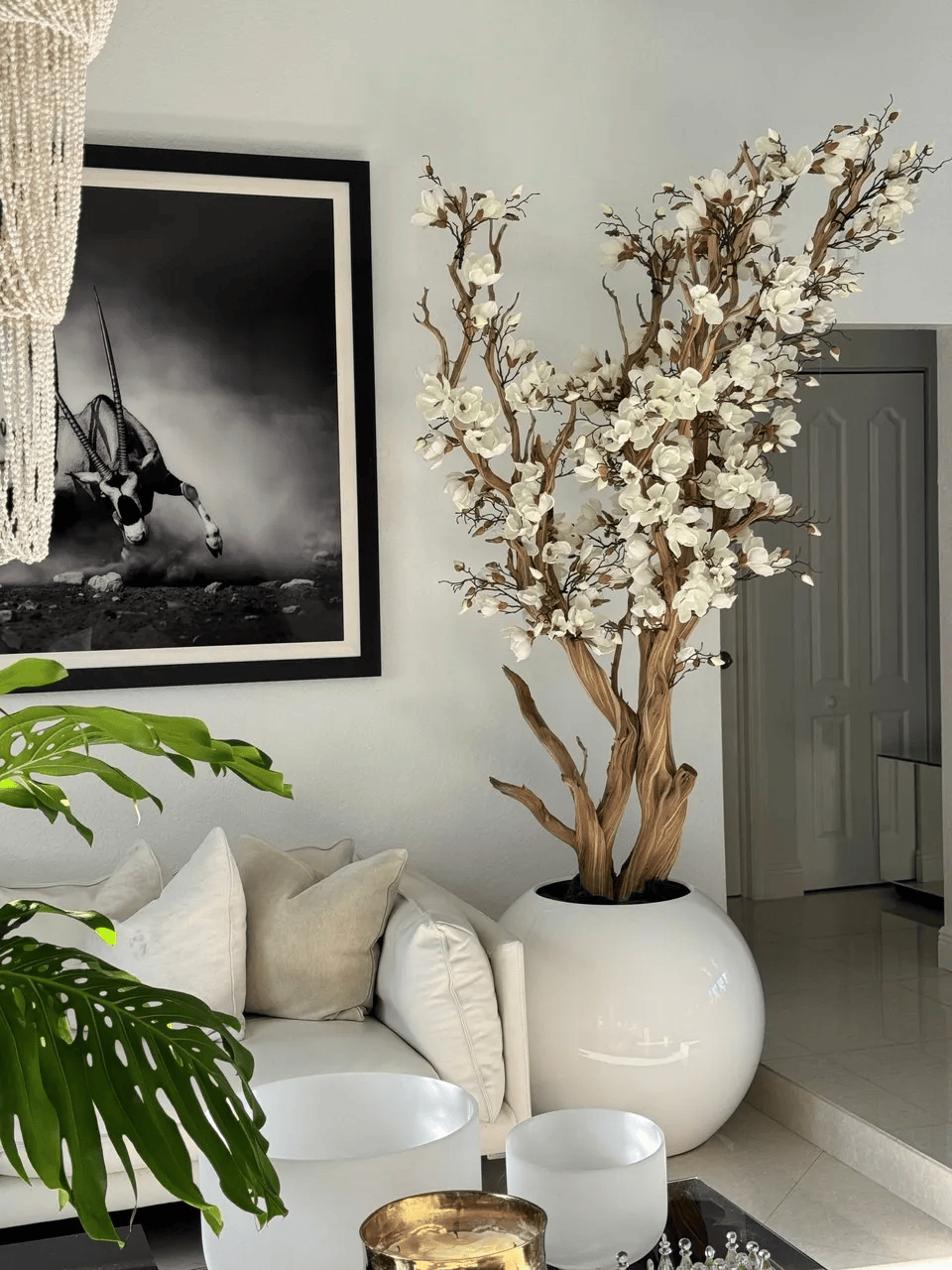 White Magnolia Tree in 30′′ Glossy White Globe Planter