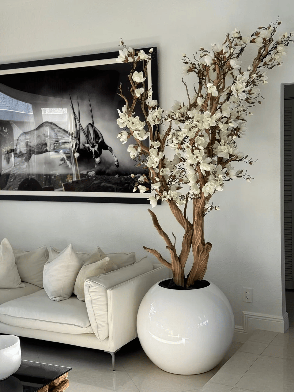 White Magnolia Tree in 30′′ Glossy White Globe Planter